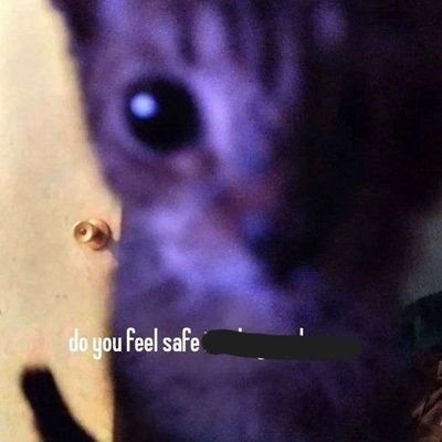 perr_son's profile picture. Making