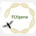 FLYgene (@flygene_qgg) Twitter profile photo
