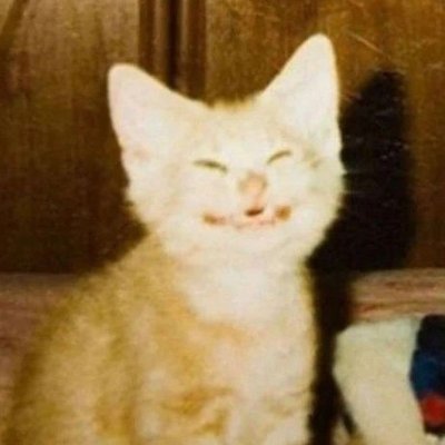 scoobdoobert0's profile picture. I hate this account and don't use anymore