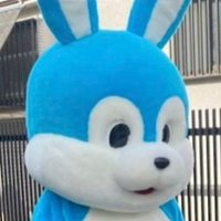 左斜め下の存在 (@yukyusoru) 's Twitter Profile Photo