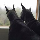 Adrian Wilhelm - @wilhelm3822 - Twitter