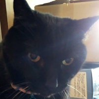 EMi (@emis89829369) 's Twitter Profile