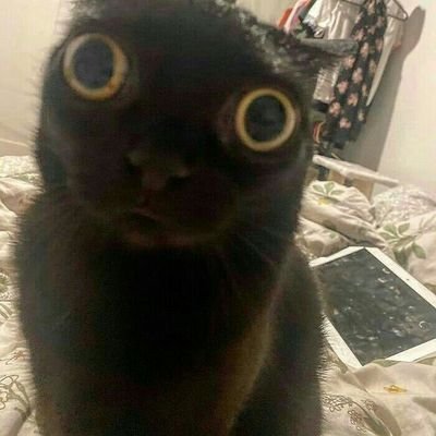 evaseekhelp's profile picture. nm