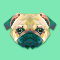 The Everyday Pug (@theeverydaypug) 's Twitter Profile