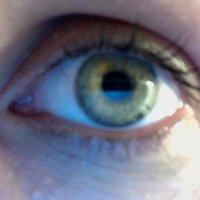 M. Ulrich (@mulrike) 's Twitter Profile