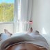 Puto Ativo ZN ๐ (@novinhorjzn021) Twitter profile photo Puto Ativo ZN ๐ (@novinhorjzn021) Twitter profile photo