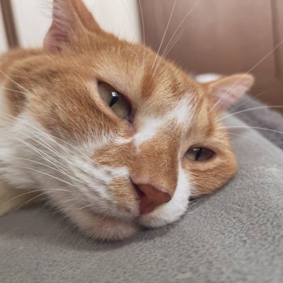 robacanさんのプロフィール画像