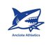 AHS Athletics (@shark_sports22) Twitter profile photo