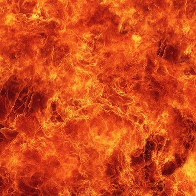 bloodofkingu1's profile picture. 