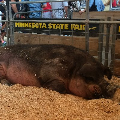 higheredreform1's profile picture. Bringing to light challenges to be addressed and changes that must be made for U.S. higher education to effectively serve future generations.