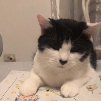 felicitas_fa's profile picture. 