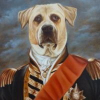 Tomi Di Pietro (@tomidipietro) 's Twitter Profile