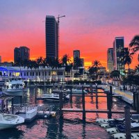 Backyard305 (@thebackyard305) 's Twitter Profile