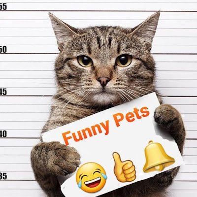 FunnyArtemDol's profile picture. 