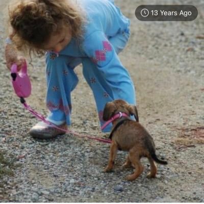 avery4291kim's profile picture. Patriot, 100% Maga ,