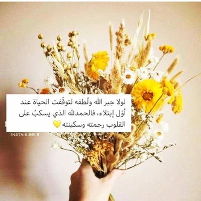 أفداك يا وطني ومليكي بروحي .. فوطني الحبيب بلد لآ مثيل لها 🇸🇦🇸🇦💚💚