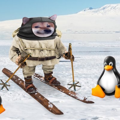 Antarctic slyber warefare - sysadmin and academ. Maintains office at REDACTED HQ. Editor, South Polar Times. Not 2nd best THIS time... pronouns: the dog/the dog