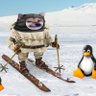 NAFOCaptRFScott's profile picture. Antarctic slyber warefare - sysadmin and academ. Maintains office at REDACTED HQ. Editor, South Polar Times. Not 2nd best THIS time... pronouns: the dog/the dog