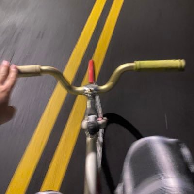 SKR_SKR_0909's profile picture. I roar,therefore I am