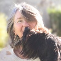 Jean Gill Among Sea Wolves is LIVE ⚔ 📚(@writerjeangill) 's Twitter Profile Photo