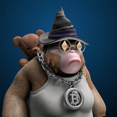 collector of apes, punks, ghxsts, meebits and more