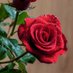 gopee Rabindranath (@vimalgopee29) Twitter profile photo gopee Rabindranath (@vimalgopee29) Twitter profile photo