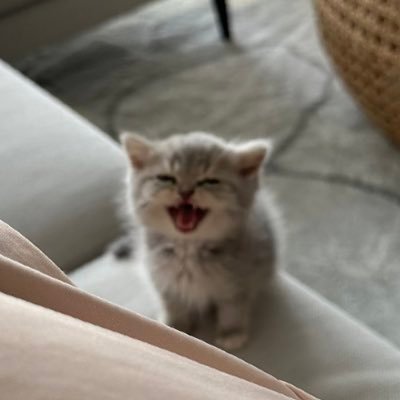 sunflowiyyyy's profile picture. Semoga Allah jaga saya selalu ❤️