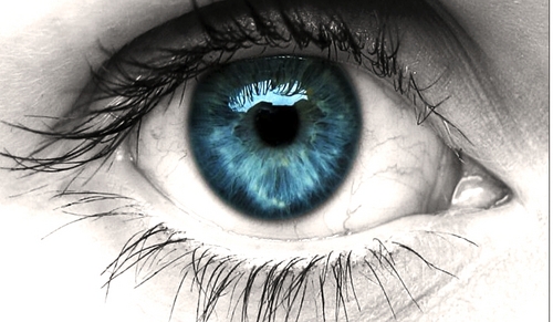 PaulPipistrel's profile picture. Everything bears with all.In each of us be something good.