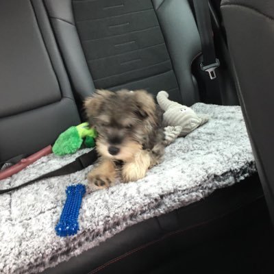 AmieF1901's profile picture. 