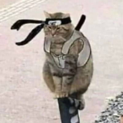 Verberさんのプロフィール画像