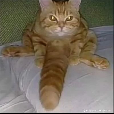 yowsgbryan's profile picture. JIK
mx