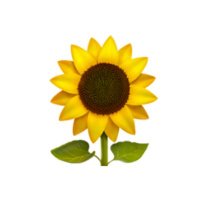 🌻아가씨 🧇(@_sunflower_1996) 's Twitter Profile Photo