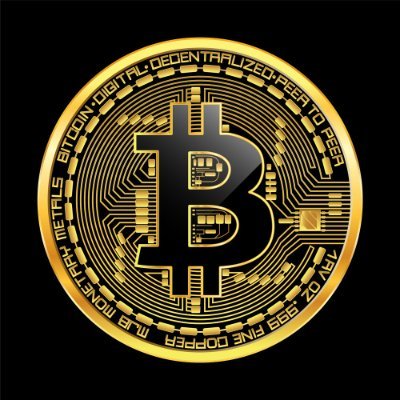 thebitcoinerus Profile Picture