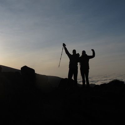 Hi!
This is Hemedi, a travel guide based in Tanzania. I and our team can take away stress and create a custom trip of your wishes and budget. CALL +255719780438
