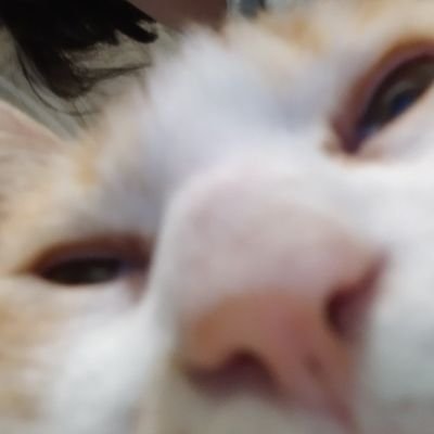 angela_lgc's profile picture. 55 ❤️