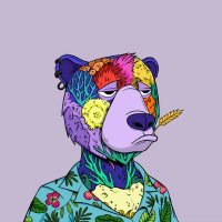 0xJack (@0x_jack_x0) 's Twitter Profile