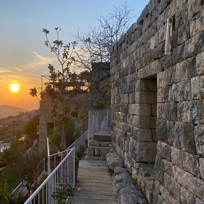 em_quark's profile picture. 