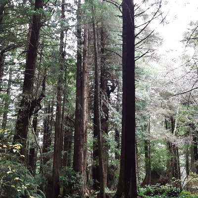Participating in the change. Hang out with me while I explore living in a blockchain enhanced reality.
https://t.co/pd4enrBUwJ…1