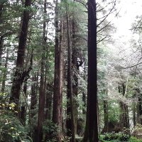 Niddys Cryptos (@niddyscryptos) 's Twitter Profile