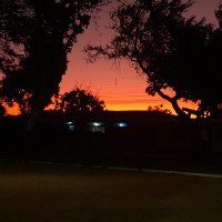 Casiopea (@ateneax) 's Twitter Profile Photo