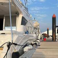 b_shaheen (@shayib76) Twitter profile photo