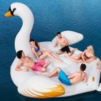 Riesenschwan (@borisgrewe) Twitter profile photo
