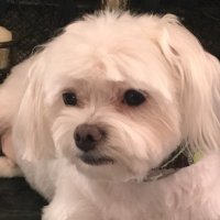 Keely Roberts ๐๐๐บ๐ธ๐โฎ๏ธ (@robertskeely3) 's Twitter Profile