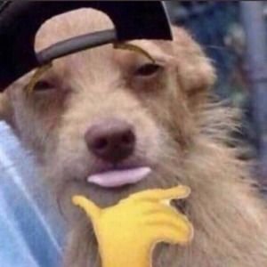 justSTFUyes's profile picture. 