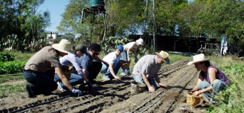 New Farm Institute