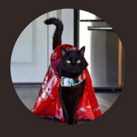 Fluffy Avenger…..ROYAL EXPERT…🦕🦕(@returnoffluffy) 's Twitter Profile Photo