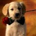 O.R Oscar Howit (@oroscar4md) Twitter profile photo O.R Oscar Howit (@oroscar4md) Twitter profile photo
