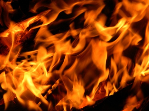 TalihinaFD's profile picture. 