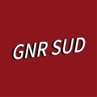 GN'R Sudamérica(@gnrsud) 's Twitter Profile Photo
