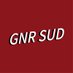 GN'R Sudamérica (@gnrsud) Twitter profile photo